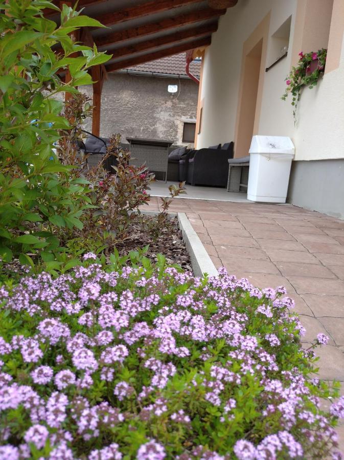 Apartmany Opolany エクステリア 写真